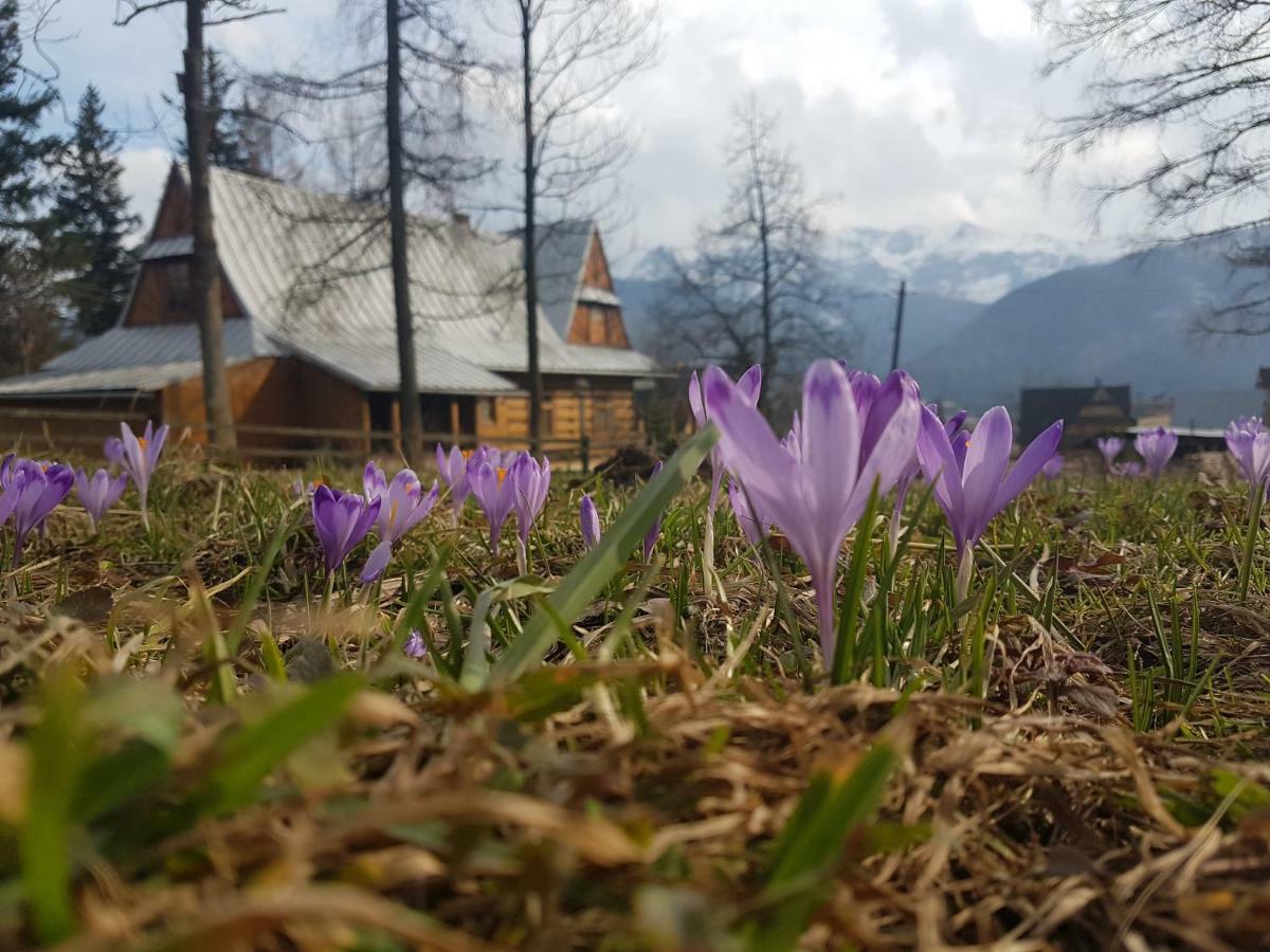 Apartament Sielanka, Basen Кошелско Екстериор снимка